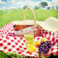 Picnic