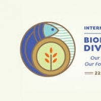 International Day for Biological Diversity