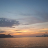 Photo by the bay