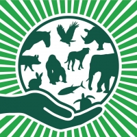 World Animal Day