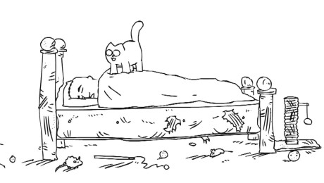 Silly Cat 2016-11-09