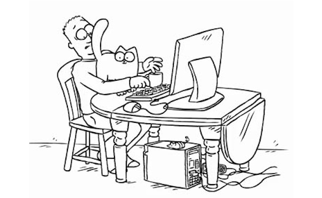Silly Cat 2016-11-09