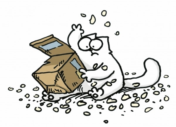 Silly Cat 2016-11-09