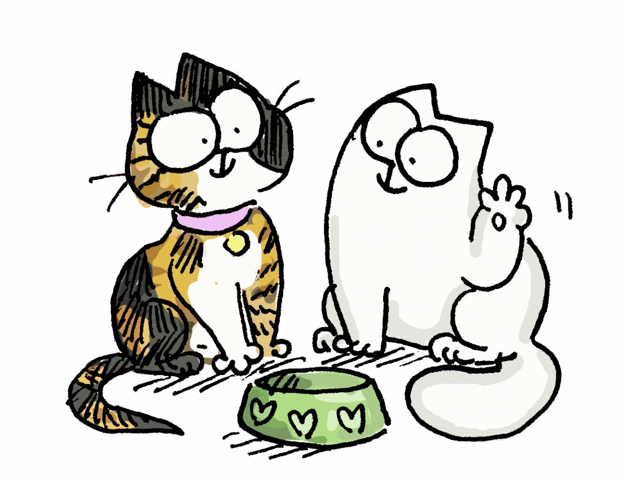 Silly Cat 2016-11-09